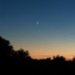 Meet your Posher, Cecilia